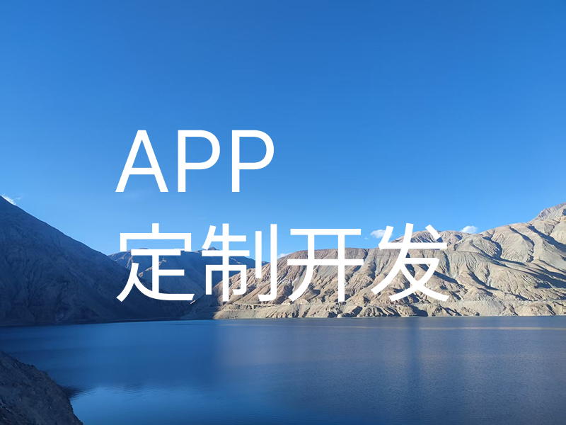 APP定制开发