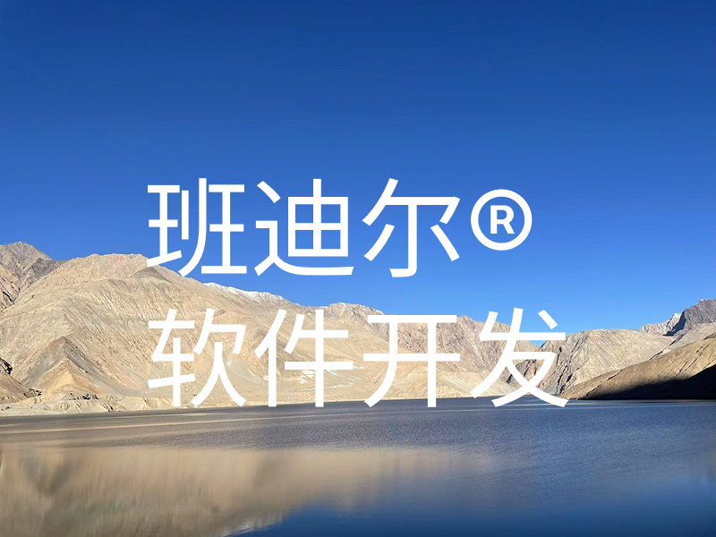 班迪尔软件定制开发