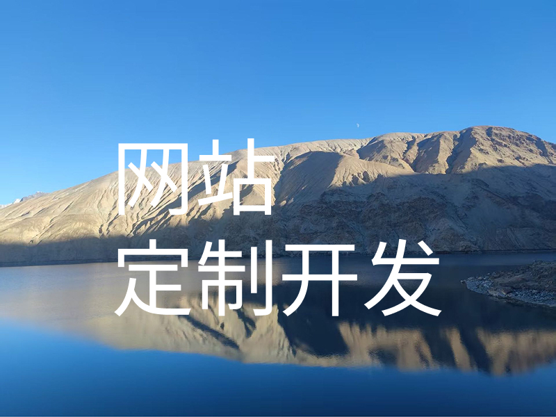 网站定制开发